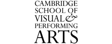 cambridge-visual-arts-230